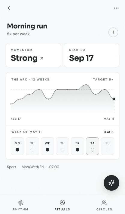 Strive Arc visualizing twelve weeks of consistency